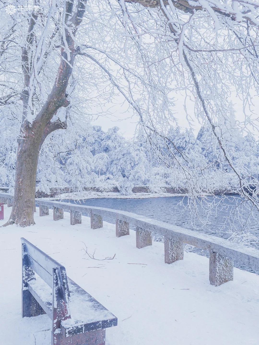 今日大雪❄️_庐山的初雪还会远吗_3_花筑奢_庐山-来自52tours 我爱旅游网